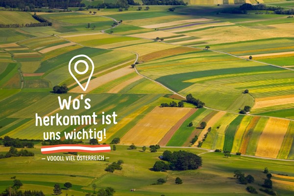 Kids Herkunft Wteaser990x660 5